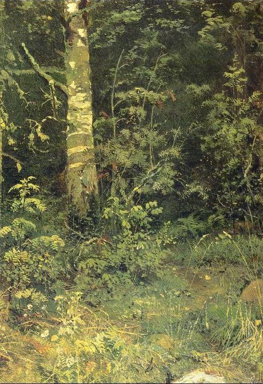 Ivan Shishkin Birch and Pocks France oil painting art
